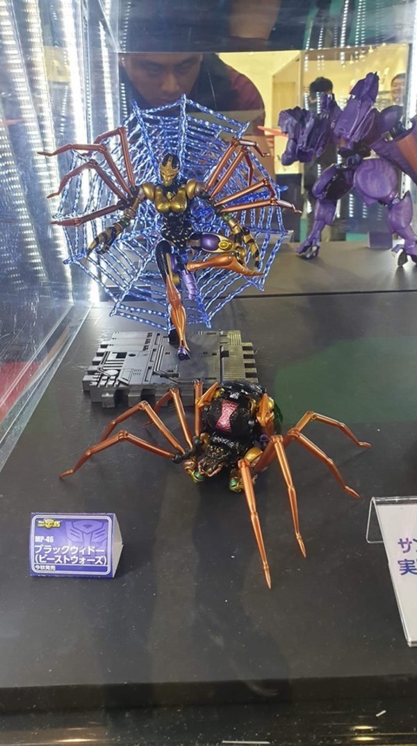 MP 46 Blackarachnia First Look At Beast Mode  (1 of 2)